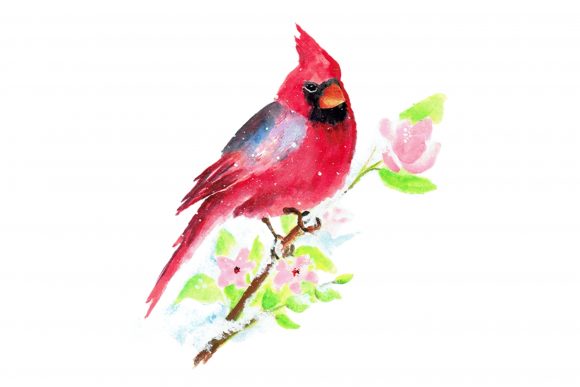 Hand Painted Watercolor Christmas Bird Review